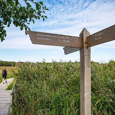 Meereswoge Zingst